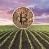 Agrotoken: Cómo transformar granos en activos digitales