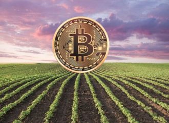Agrotoken: Cómo transformar granos en activos digitales