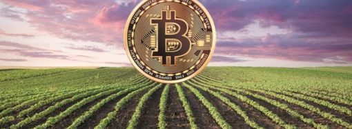 Agrotoken: Cómo transformar granos en activos digitales