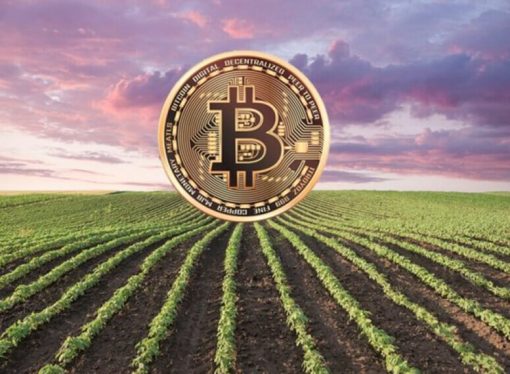 Agrotoken: Cómo transformar granos en activos digitales